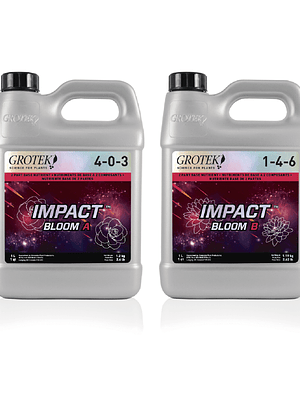 GROTEK - IMPACT BLOOM A+B