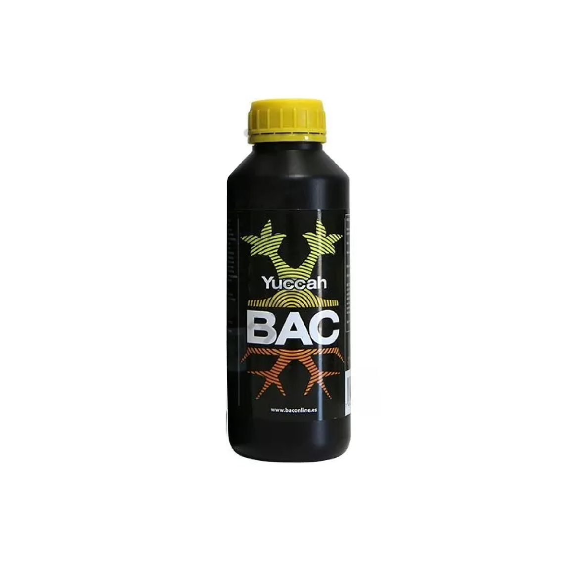 BAC - YUCCAH 2