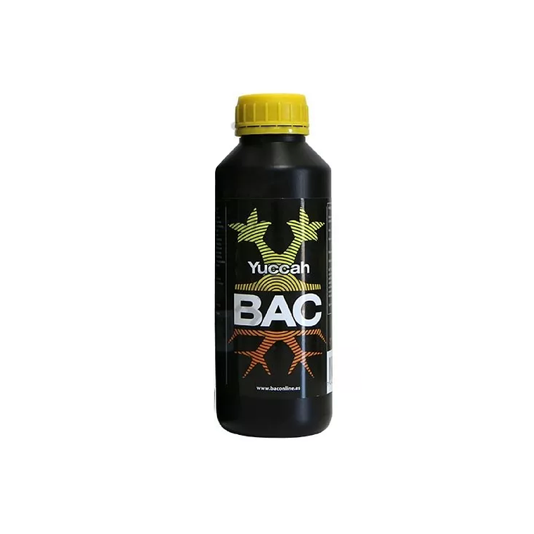 BAC - YUCCAH 2