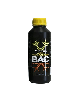 BAC - YUCCAH
