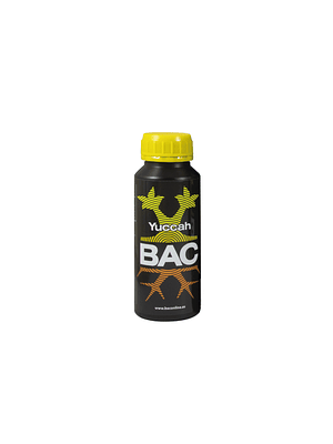 BAC - YUCCAH