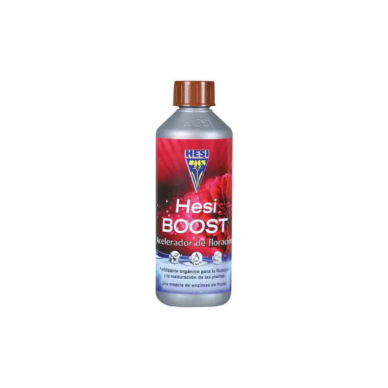 HESI - BOOST 1