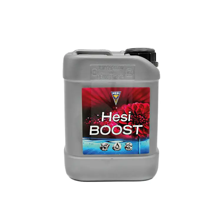HESI - BOOST 3