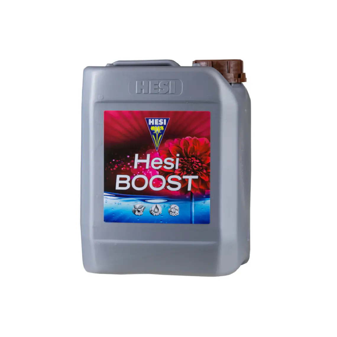 HESI - BOOST 4