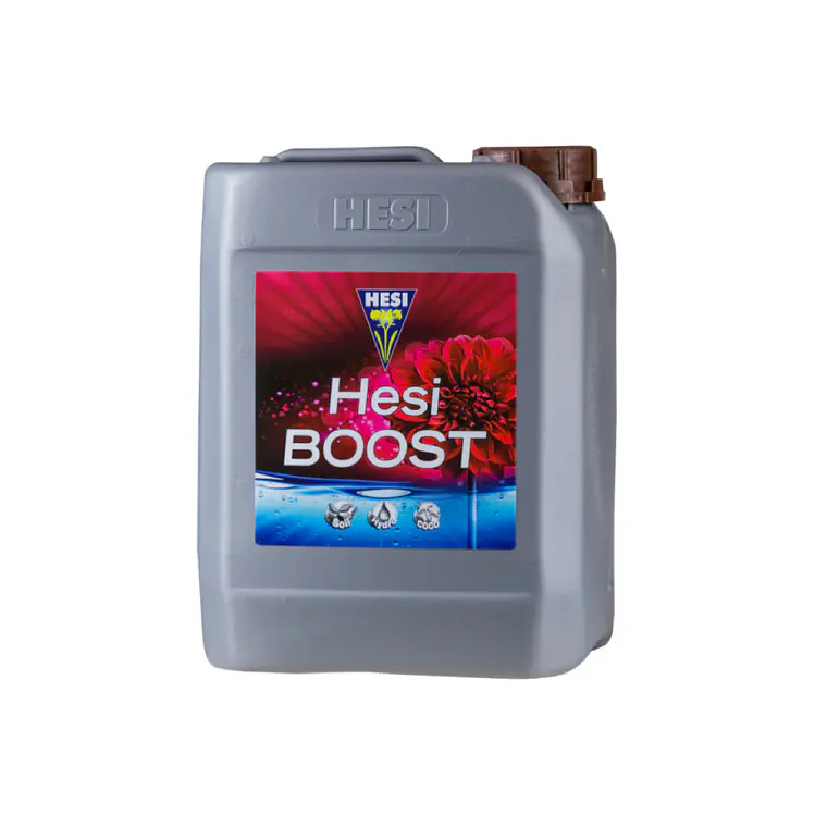 HESI - BOOST 4