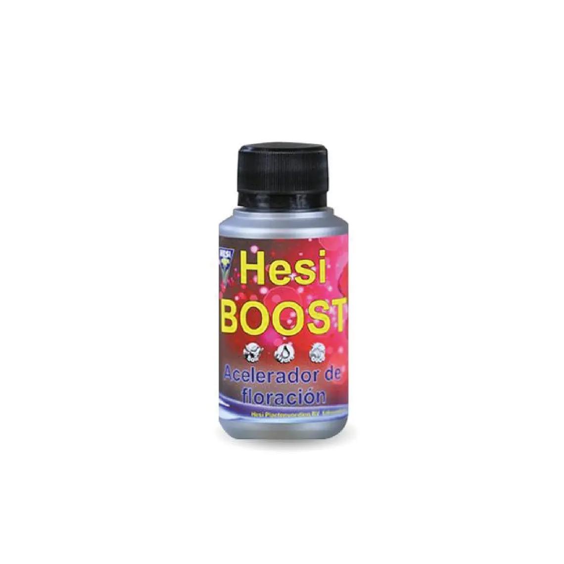 HESI - BOOST 5