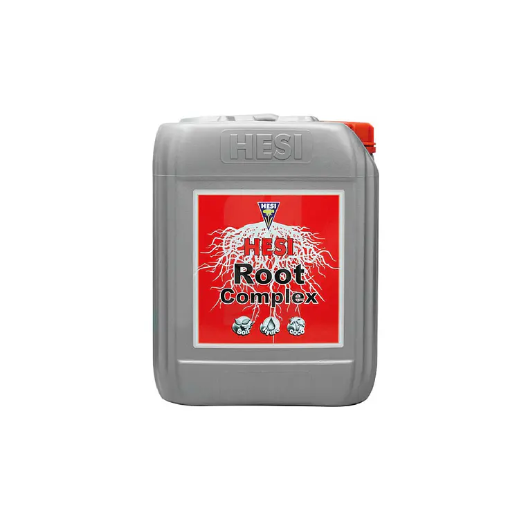 HESI - COMPLEJO RADICULAR 3