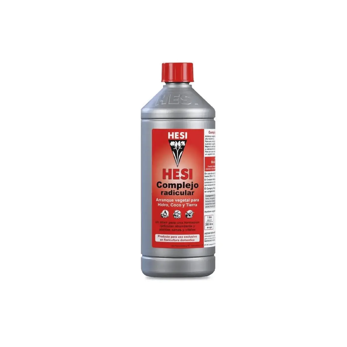 HESI - COMPLEJO RADICULAR 4