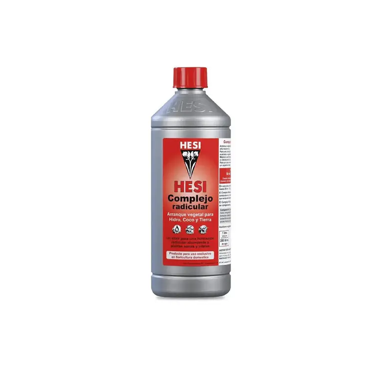 HESI - COMPLEJO RADICULAR 4