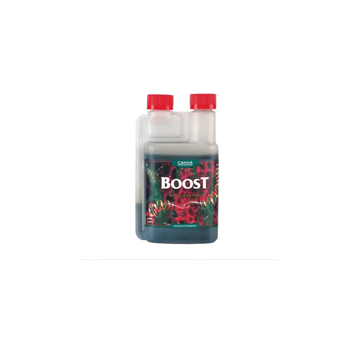 CANNA - BOOST ACCELERATOR 1