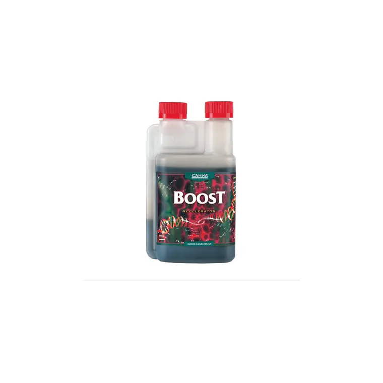 CANNA - BOOST ACCELERATOR 1