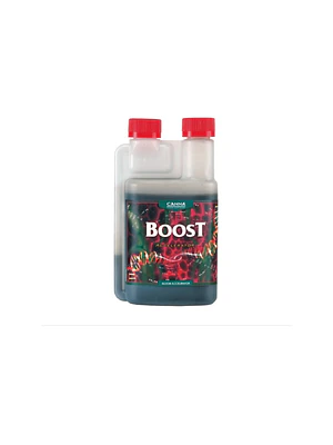 CANNA - BOOST ACCELERATOR