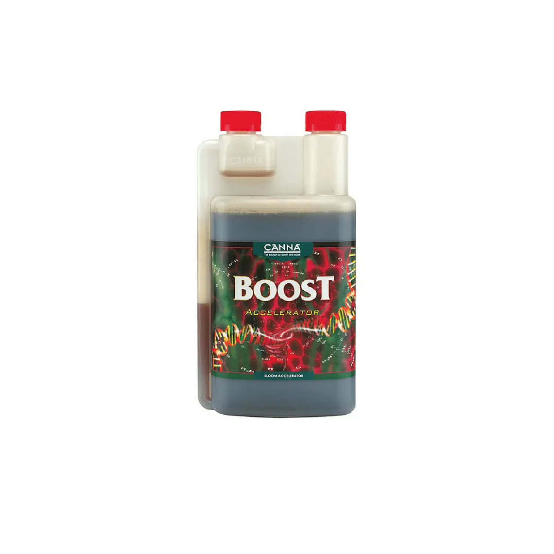 CANNA - BOOST ACCELERATOR 2
