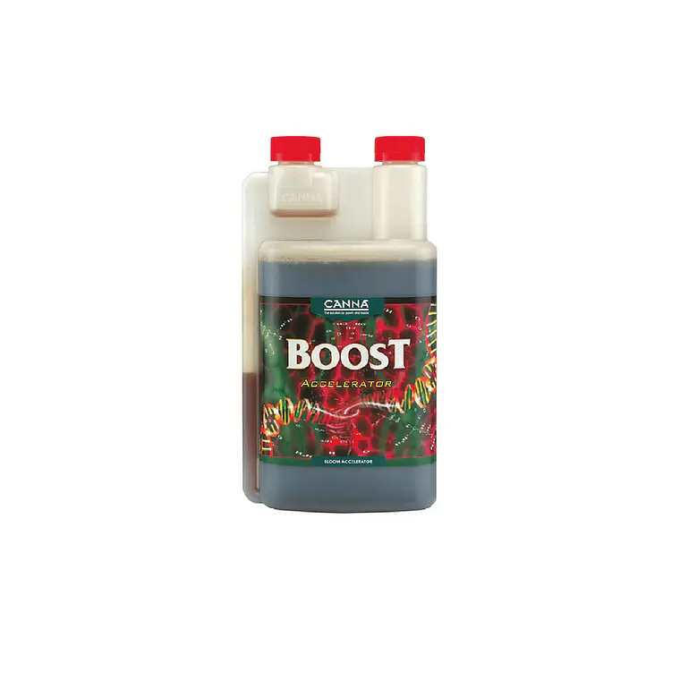 CANNA - BOOST ACCELERATOR 2