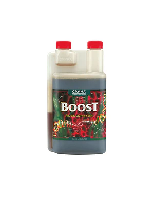 CANNA - BOOST ACCELERATOR
