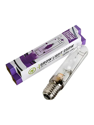 GROW GENETICS - AMPOLLETA HALURO METAL