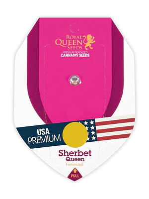 ROYAL QUEEN SEEDS - SHERBET QUEEN X1