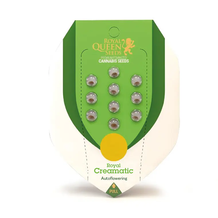 ROYAL QUEEN SEEDS - ROYAL CREAMATIC AUTO 1