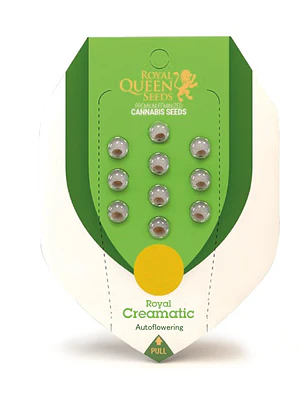 ROYAL QUEEN SEEDS - ROYAL CREAMATIC AUTO