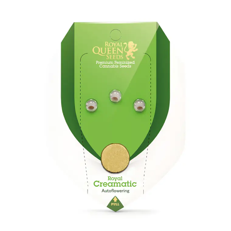 ROYAL QUEEN SEEDS - ROYAL CREAMATIC AUTO 2