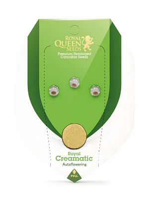ROYAL QUEEN SEEDS - ROYAL CREAMATIC AUTO