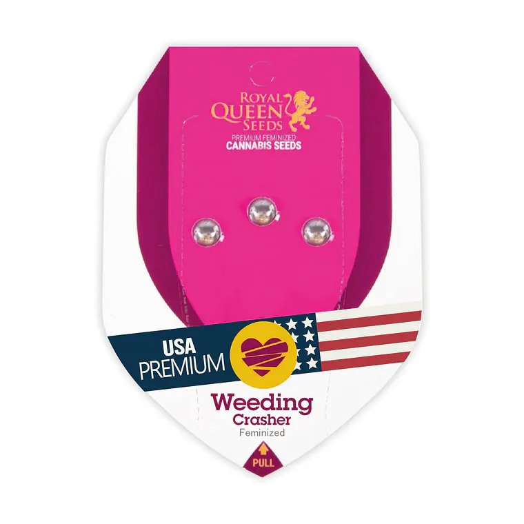 ROYAL QUEEN SEEDS - WEDDING CRASHER X3 1