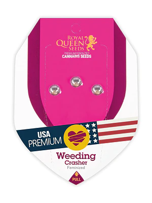 ROYAL QUEEN SEEDS - WEDDING CRASHER X3