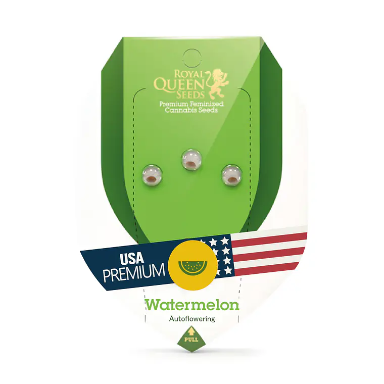 ROYAL QUEEN SEEDS - WATERMELON AUTO X3 1