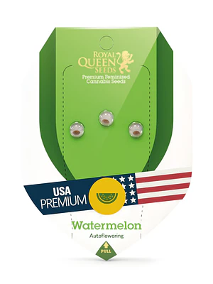 ROYAL QUEEN SEEDS - WATERMELON AUTO X3