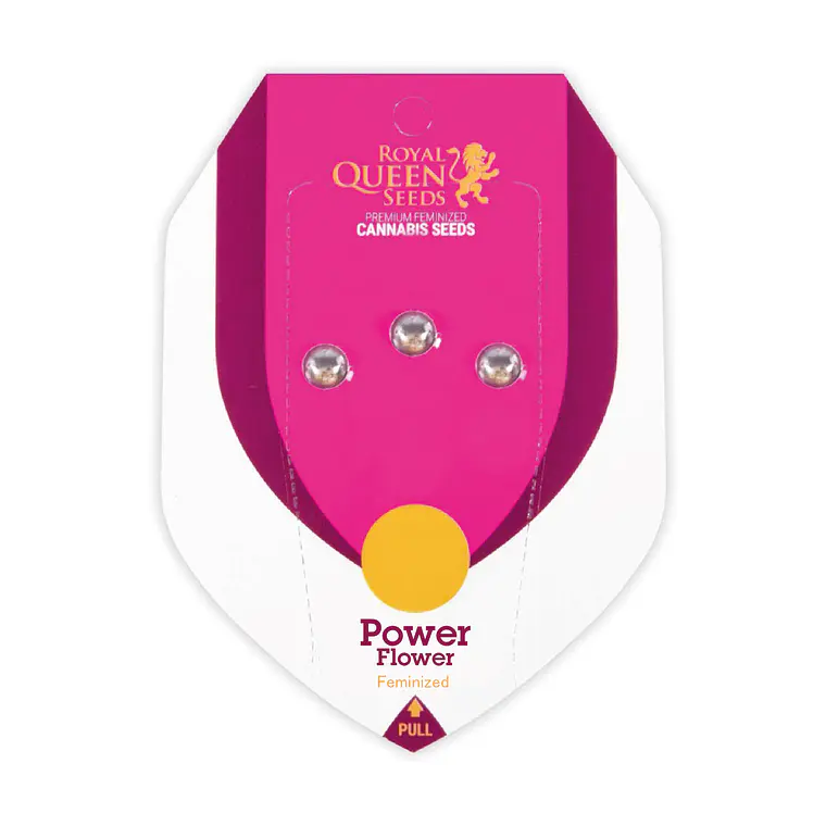 ROYAL QUEEN SEEDS - POWER FLOWER X3 1