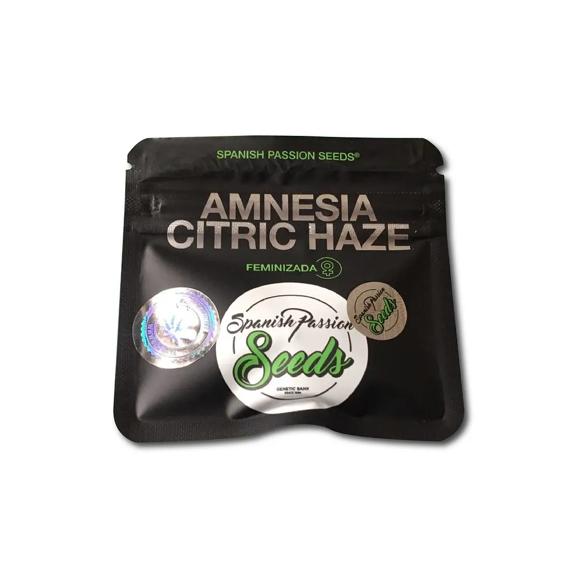 SPANISH PASSION SEEDS - AMNESIA CRITIC HAZE X3 1