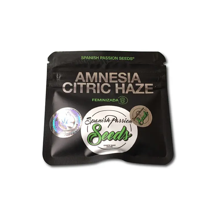 SPANISH PASSION SEEDS - AMNESIA CRITIC HAZE X3 1