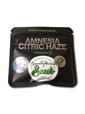 SPANISH PASSION SEEDS - AMNESIA CRITIC HAZE X3