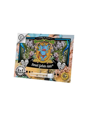 SWEET SEEDS - AUTO SWEET GELATO X3+1