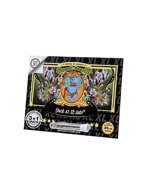 SWEET SEEDS - AUTO JACK 47 XXL X3+1