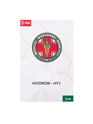 MEDICAL MARIJUANA GENETICS - HIYDROW CBD - HY1 X1