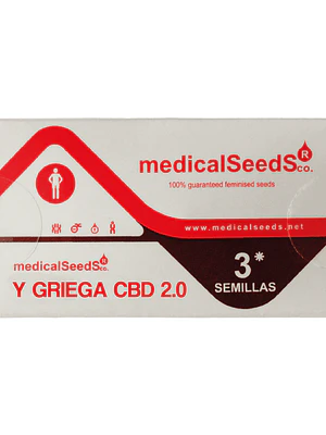MEDICAL SEEDS - Y GRIEGA 2.0 CBD X3