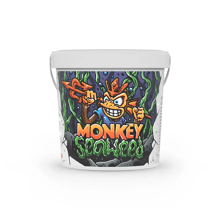 MONKEY SOIL - MONKEY SEAWEED 2