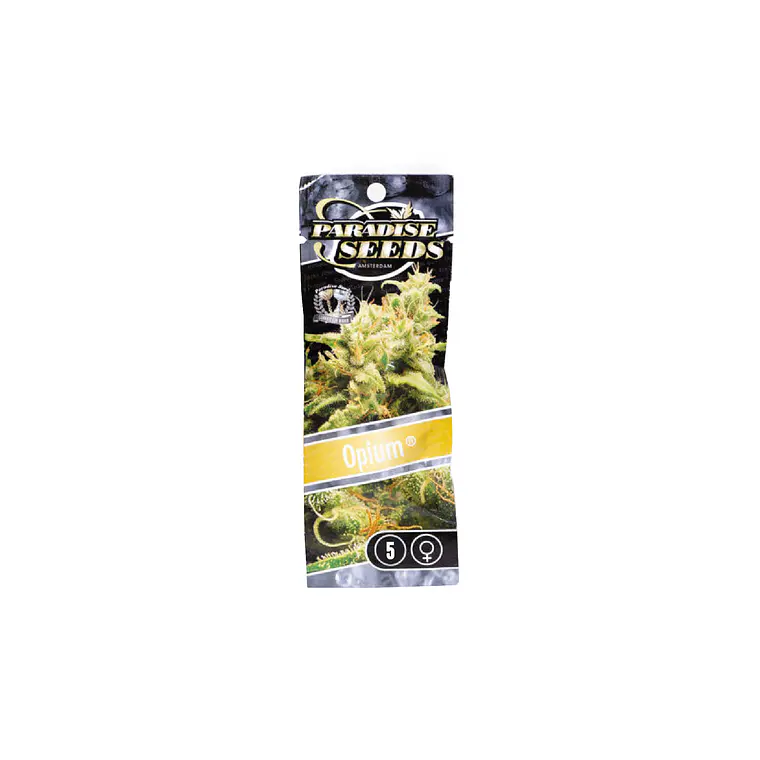 PARADISE SEEDS - OPIUM X3  1