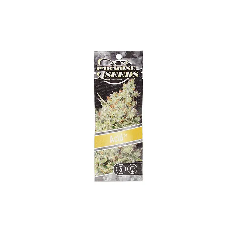 PARADISE SEEDS - ACID X3 1