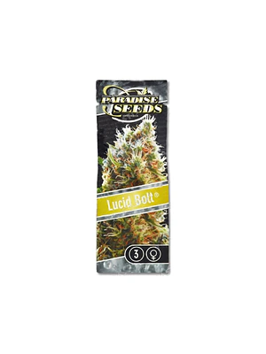 PARADISE SEEDS - LUCID BOLT X3