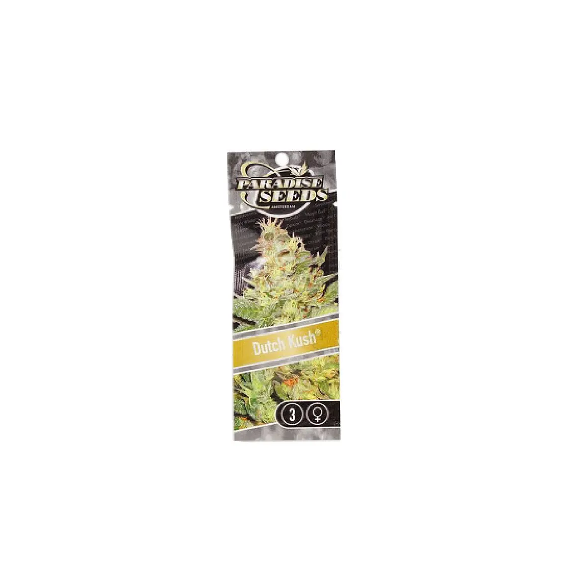 PARADISE SEEDS - DUTCH KUSH X3 1