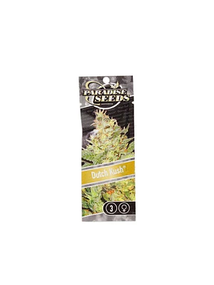 PARADISE SEEDS - DUTCH KUSH X3