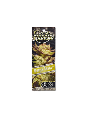 PARADISE SEEDS - DURGA MATA II CBD X3