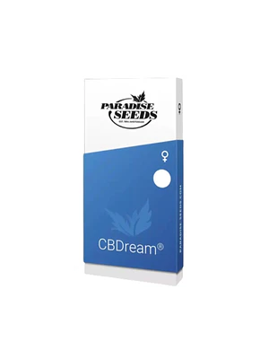 PARADISE SEEDS - CBDream x3