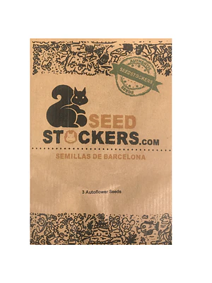 SEED STOCKERS - SHERBET X3