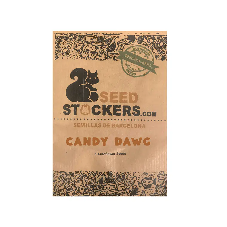 SEED STOCKERS - CANDY DAWG AUTO X3 1