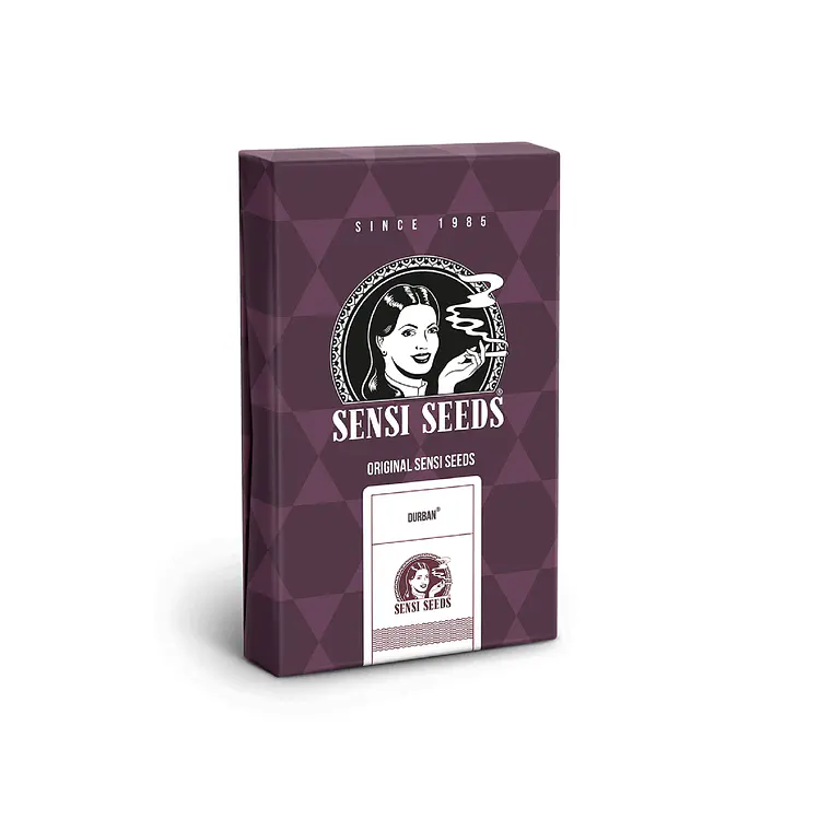 SENSI SEEDS - DURBAN X3 1