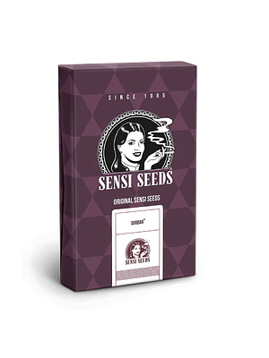 SENSI SEEDS - DURBAN X3