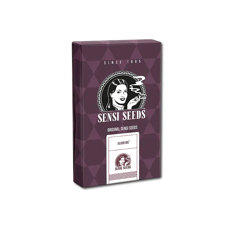 SENSI SEEDS - SILVER FIRE X3 1